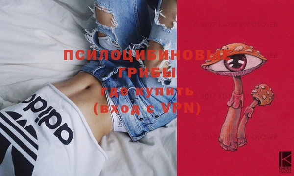 МДПВ Белокуриха