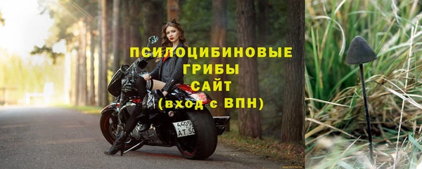 МДПВ Белокуриха
