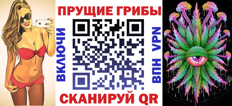 kraken зеркало  Красавино  Галлюциногенные грибы Psilocybine cubensis 